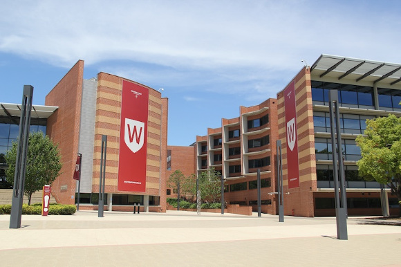 wsu1