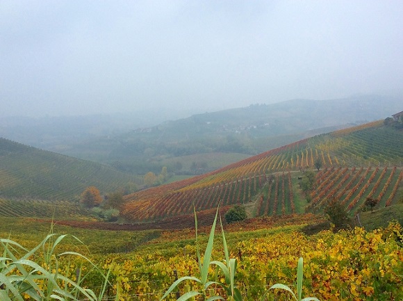 ワインの産地であるバローロ