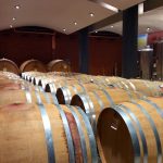 世界一周の旅　ヨーロッパ編：イタリアピエモンテ州ワインの王様・バローロ