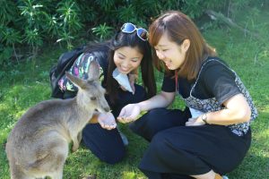 CQUniversity Australia / セントラルクイーンズランド大学（CQUniversity）