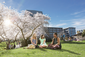 【総合大学】University of Canterbury / カンタベリー大学
