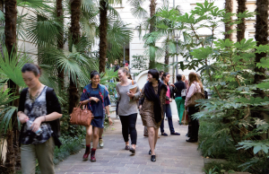 Linguaviva／リンガビーバ（フィレンツェ校）・Linguadue／リンガドゥーエ（ミラノ校）