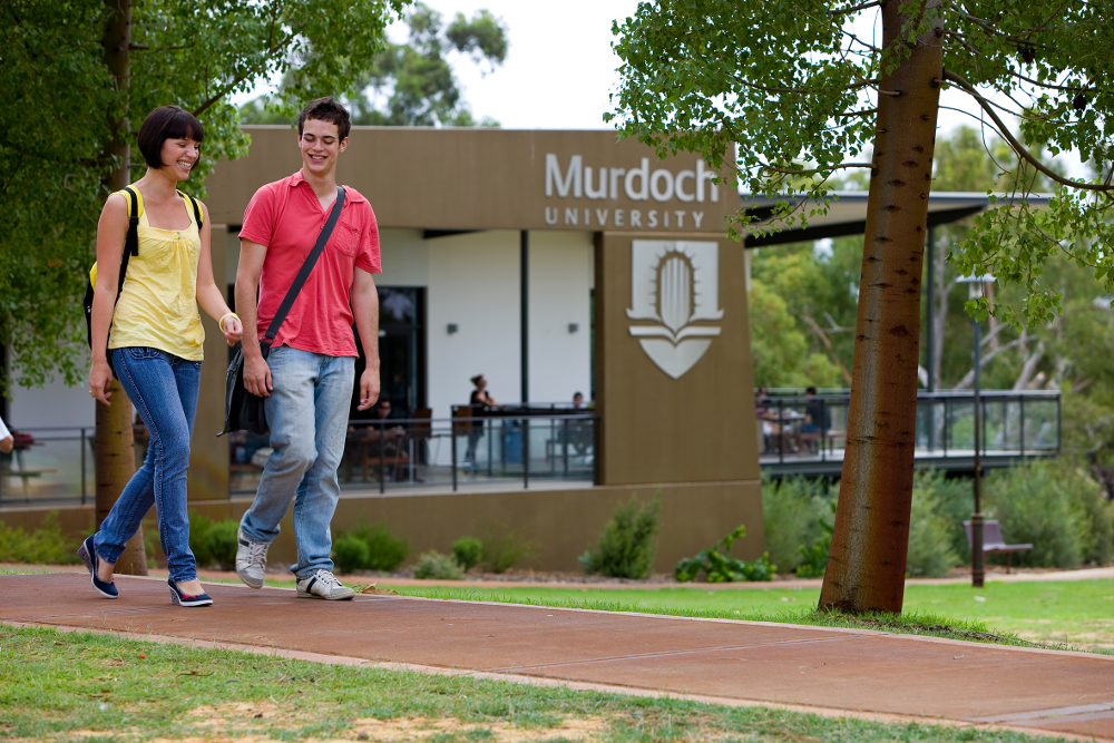 Murdoch University / マードック大学