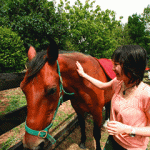 【特派員レポート】ニュージーランドにもう夢中！