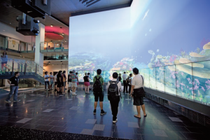 Queensland University of Technology / クイーンズランド工科大学（QUT）