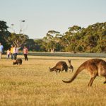 South Australia・南オーストラリア州
