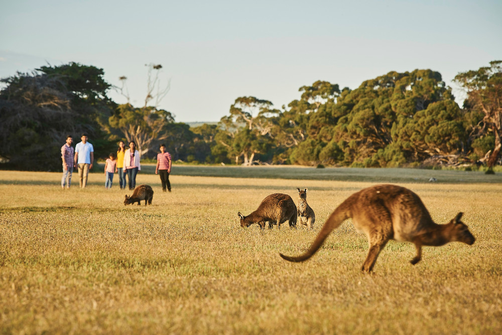 South Australia AUS