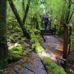 Tasmania・タスマニア州