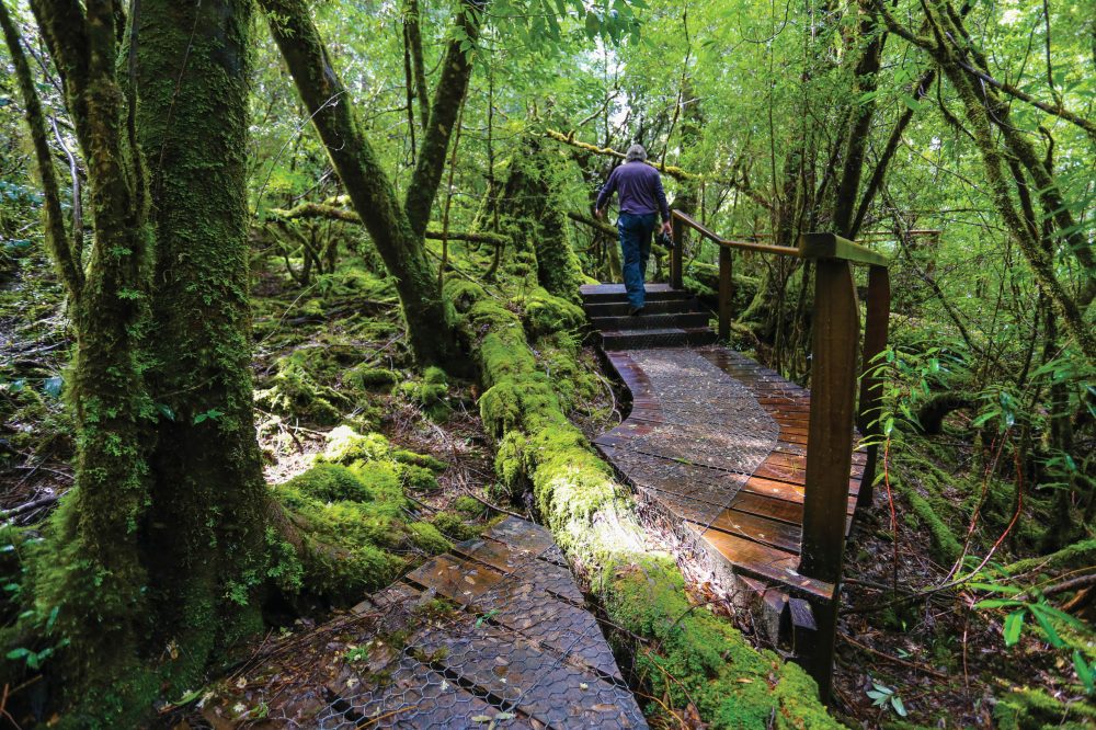 Tasmania AUS