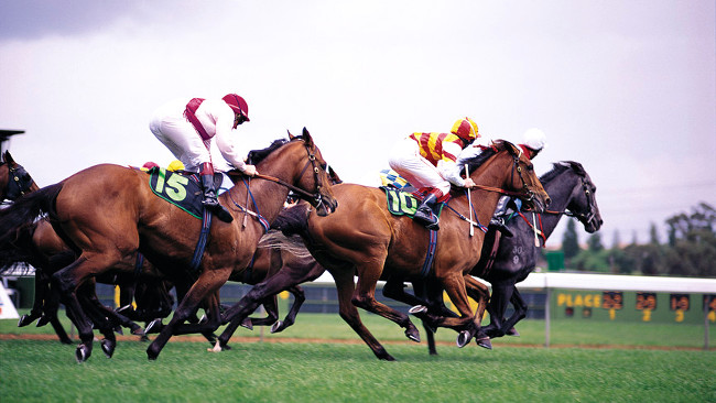 メルボルンは競馬でも有名