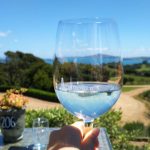 初めての留学 in New Zealand☆：オークランド到着！