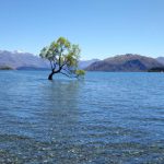 初めての留学 in New Zealand☆：See you again, New Zealand!