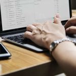 ニュージーランドのインターンシップ