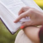 ニュージーランドの大学留学