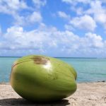 グアムの語学留学