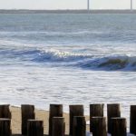 ニュージーランドの親子留学