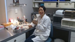 留学生の為の歯科技工コースで学ぶ