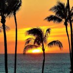 ハワイの親子留学