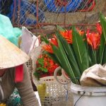 ベトナムのインターンシップ