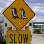 ニュージーランドの就労ビザ