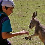 オーストラリアの小中留学