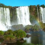 ブラジルのボランティア