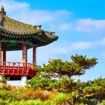 韓国のボランティア