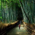 京都で探す！留学会社（留学エージェント）