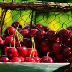 State of Michigan・ミシガン州