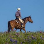 State of Texas・テキサス州