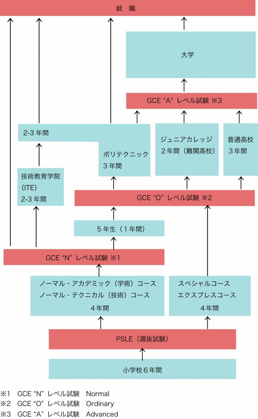 シンガポールの教育制度　図