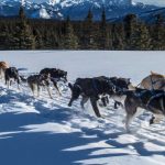 State of Alaska・アラスカ州