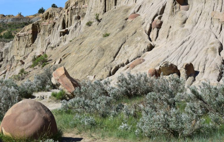 State of North Dakota・ノースダコタ州 あの国で留学
