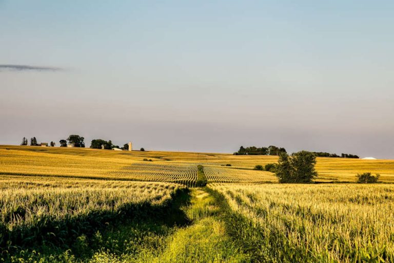 State of Iowa・アイオワ州 あの国で留学