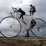 キウイの生まれ故郷のニュージーランド