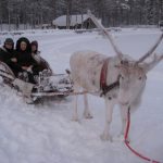 世界最年少34歳の女性首相が誕生したフィンランドとはどんな国なんだろう?