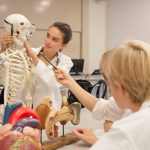 【ニューヨーク / カリフォルニア / イギリスオックスフォード】高校卒業資格をボーディングスクールで取得！更に世界で認められたカリキュラムも