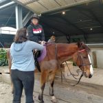 お子さん 単身 ニュージーランドファームステイ ［お子さんの年齢：10歳〜］