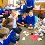 オーストラリア 日本語教師アシスタント国際交流プログラム！（1週間～1年）