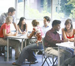 シドニーでミニインターンシップ！