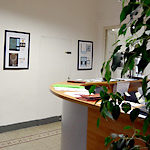 イタリア語　インターンシップ