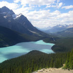 【毎月5名限定】英語力初級×未経験歓迎、実質ゼロ円！