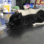 選べるボランティア   ≪サポート無料≫