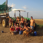 オーストラリアでワーキングホリデー。過ごし方はあなた次第