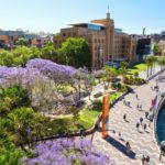 【大人留学 in シドニー】オーストラリア最大の都市で本気の英語を身につける