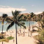 常夏の太陽とビーチ！ホノルルで欲張りなオトナのバケーション留学