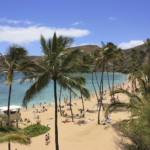 初めての留学でも安心！現地の生活に溶け込みながら英語学習すれば、あなたもロコガール！