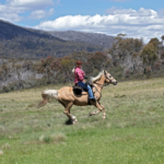世界で最も暮らしやすいブリスベン！アクティビティも豊富な中高生向け留学☆